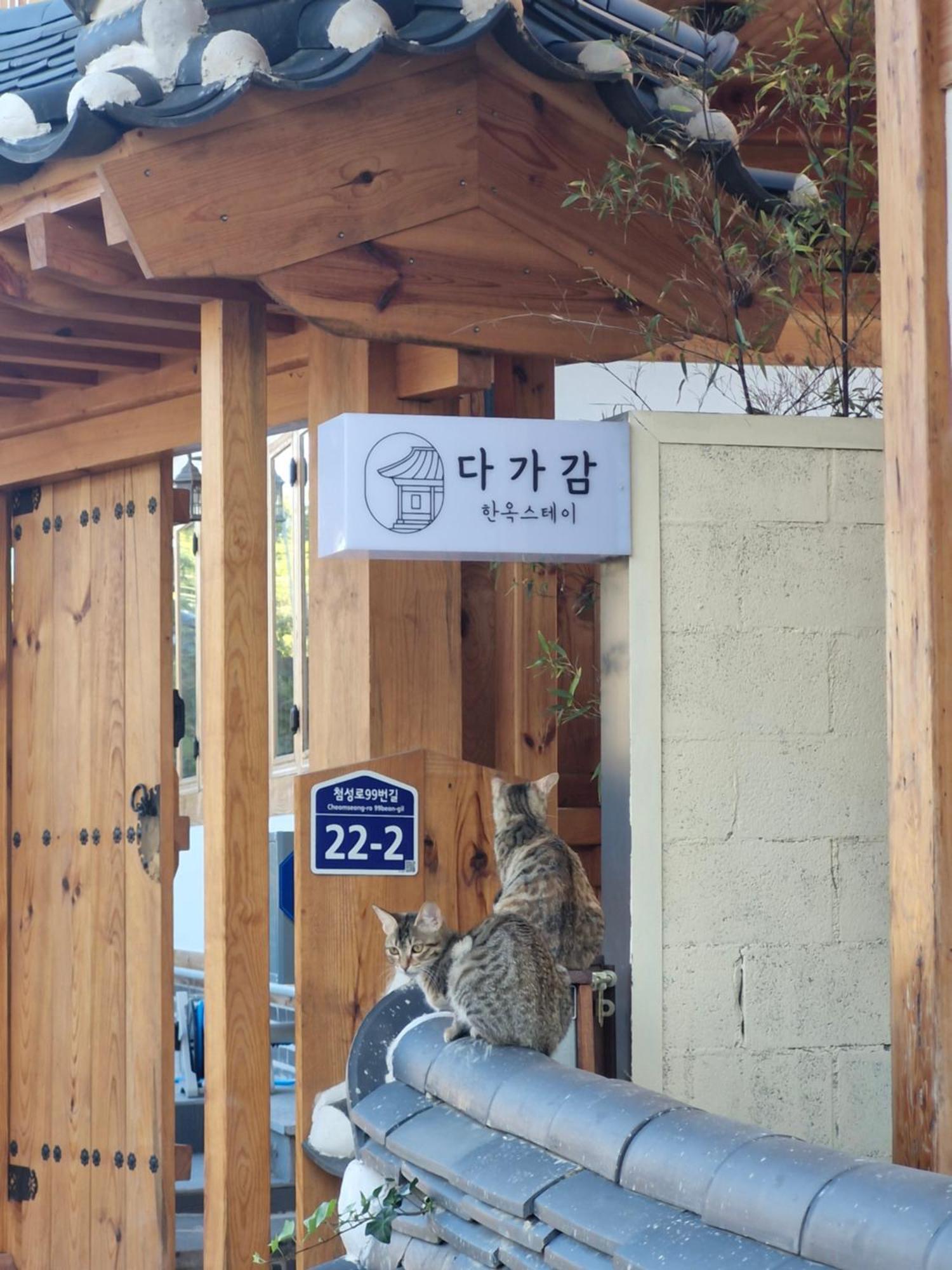 Hanok Stay Da-Ga-Gam 경주 외부 사진